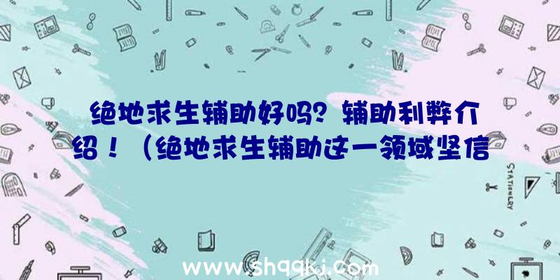 绝地求生辅助好吗？辅助利弊介绍！（绝地求生辅助这一领域坚信大伙儿没有深入分析过,最少也听别人说）